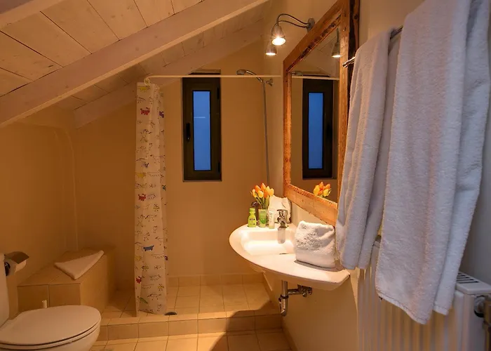 Asterias Ideales * Mousata